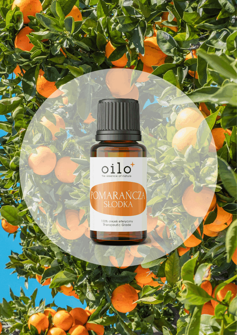 Właściwości olejku eterycznego z pomarańczy - blog | Olejkowa Szkoła & Sklep